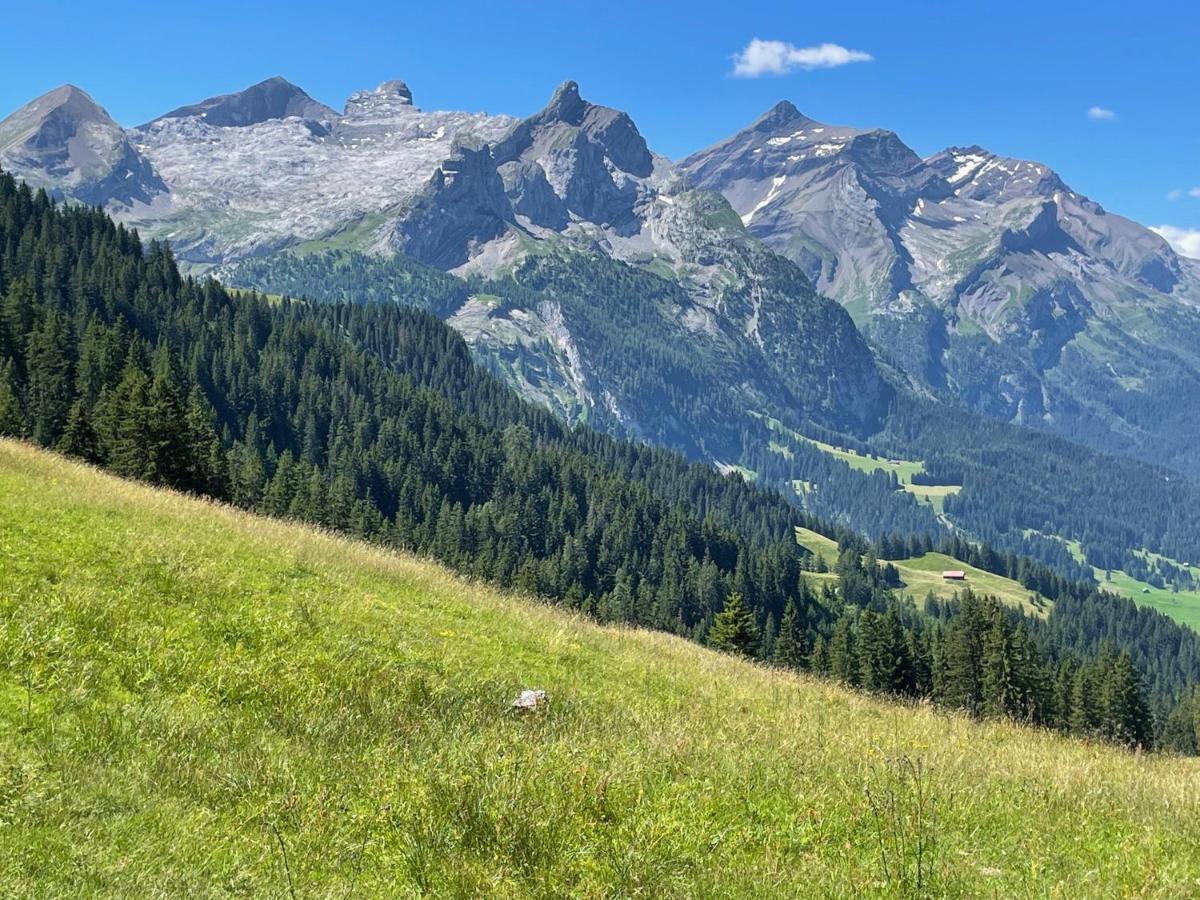 Alpen Charme - Chalet D'Hotes Et Spa Bed & Breakfast Gsteig Exterior photo